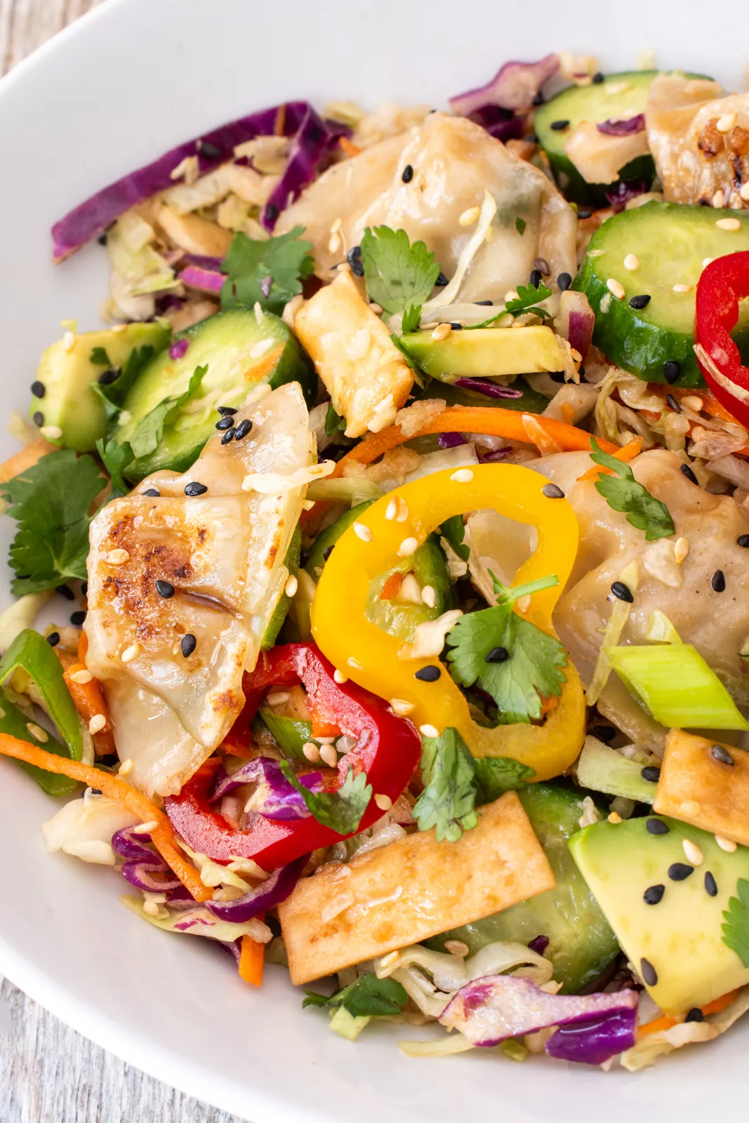 Potsticker Salad