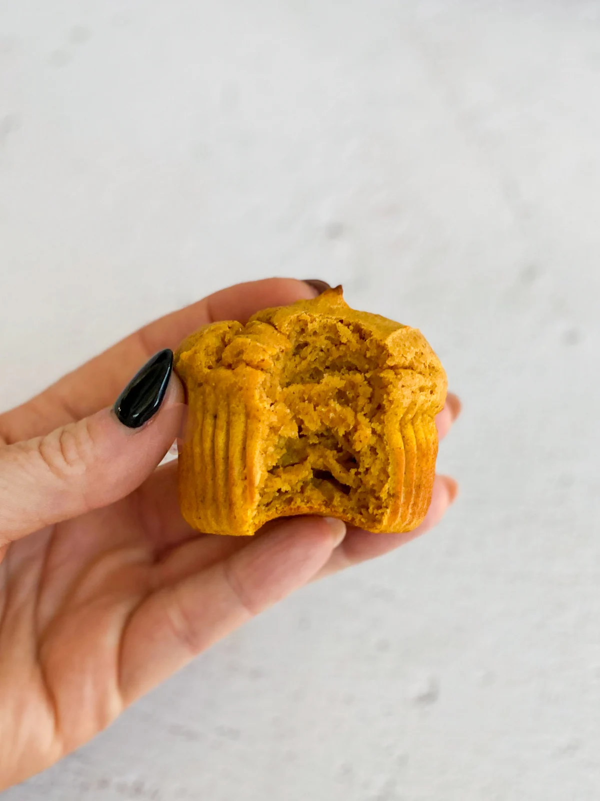 Pumpkin Protein Muffins