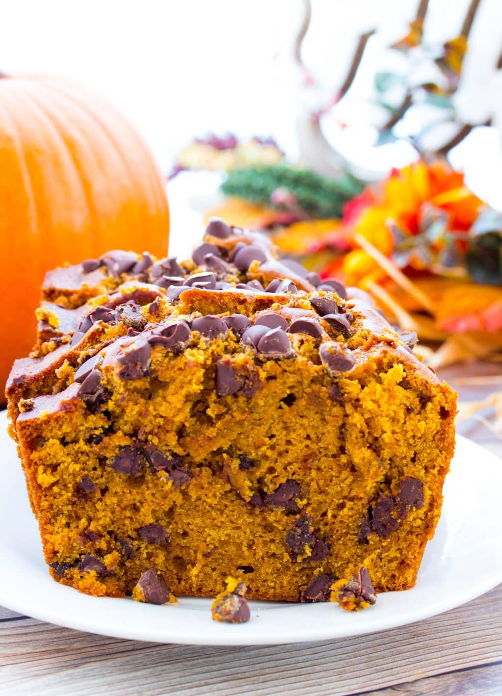 Chocolate Chip Pumpkin Bread for Fall Baking