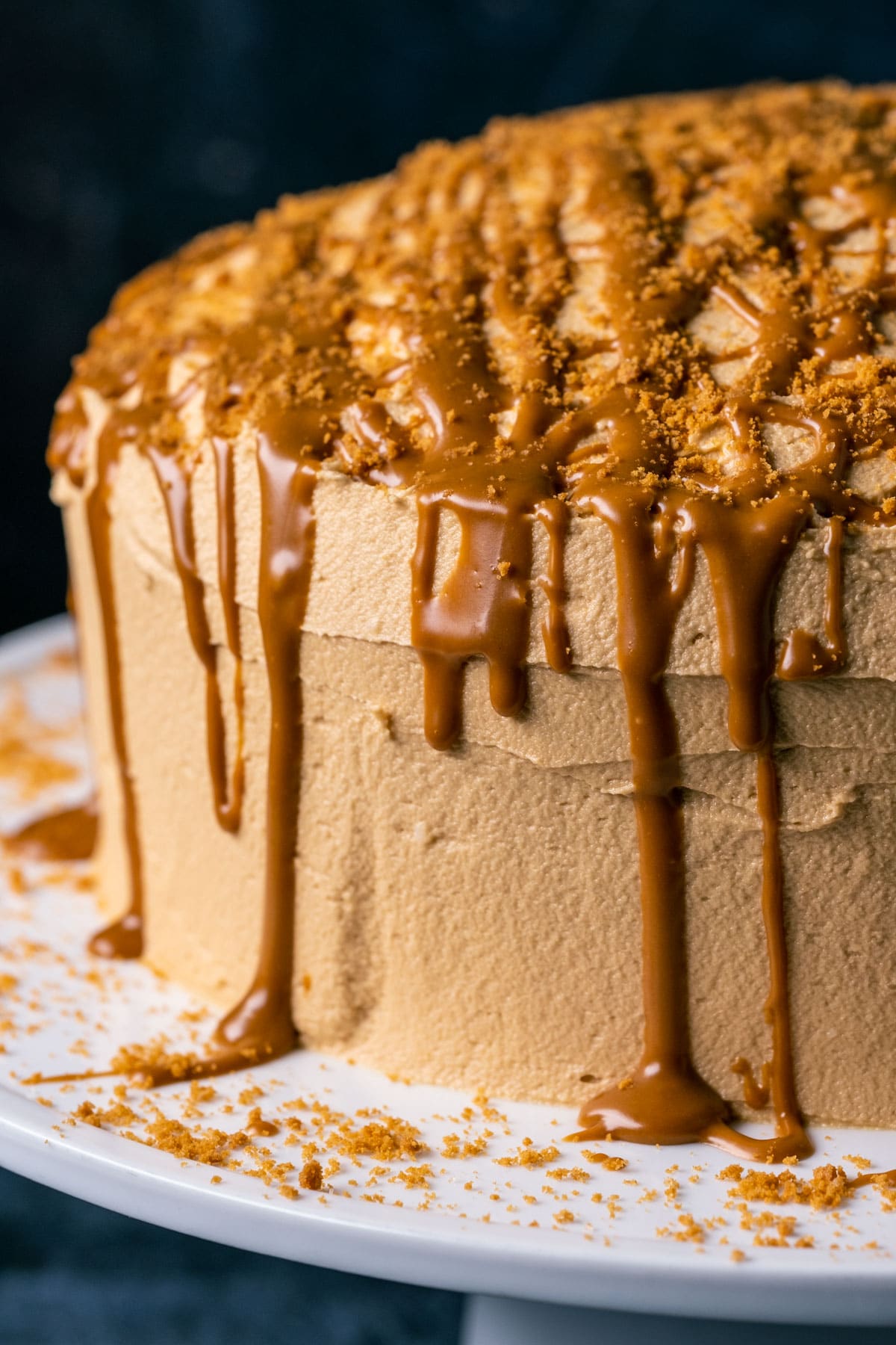 Delicious Vegan Biscoff Cake Recipe